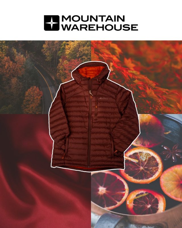 Which aesthetic are you choosing? 🎄✨